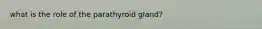 what is the role of the parathyroid gland?