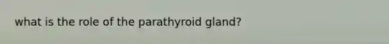 what is the role of the parathyroid gland?