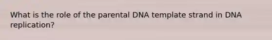 What is the role of the parental DNA template strand in DNA replication?