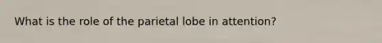 What is the role of the parietal lobe in attention?