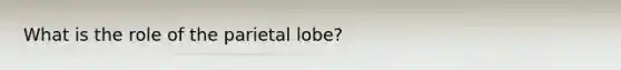 What is the role of the parietal lobe?