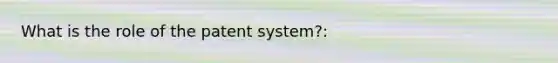 What is the role of the patent system?: