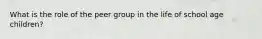 What is the role of the peer group in the life of school age children?