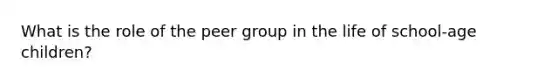 What is the role of the peer group in the life of school-age children?