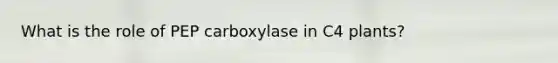 What is the role of PEP carboxylase in C4 plants?