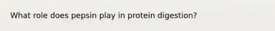 What role does pepsin play in protein digestion?