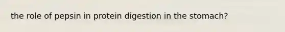 the role of pepsin in protein digestion in the stomach?