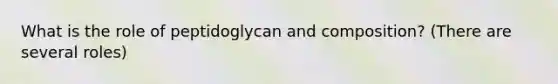 What is the role of peptidoglycan and composition? (There are several roles)