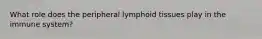 What role does the peripheral lymphoid tissues play in the immune system?