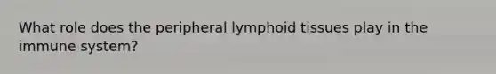 What role does the peripheral lymphoid tissues play in the immune system?