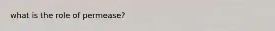 what is the role of permease?