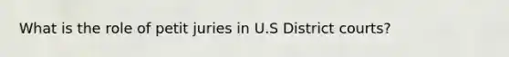 What is the role of petit juries in U.S District courts?