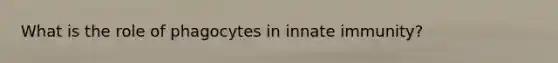What is the role of phagocytes in innate immunity?