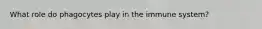 What role do phagocytes play in the immune system?
