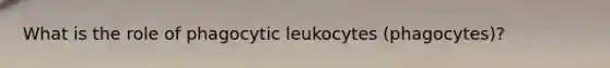 What is the role of phagocytic leukocytes (phagocytes)?