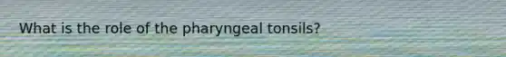 What is the role of the pharyngeal tonsils?