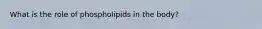 What is the role of phospholipids in the body?