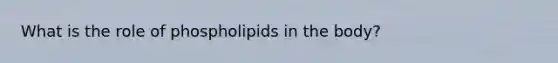 What is the role of phospholipids in the body?