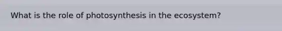 What is the role of photosynthesis in the ecosystem?