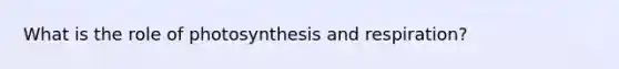 What is the role of photosynthesis and respiration?