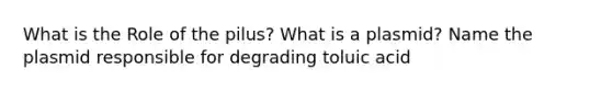 What is the Role of the pilus? What is a plasmid? Name the plasmid responsible for degrading toluic acid