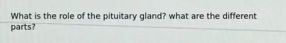 What is the role of the pituitary gland? what are the different parts?