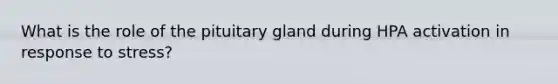 What is the role of the pituitary gland during HPA activation in response to stress?