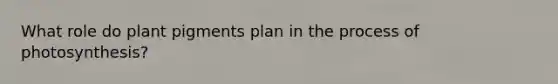 What role do plant pigments plan in the process of photosynthesis?