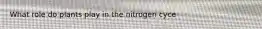 What role do plants play in the nitrogen cyce