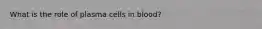 What is the role of plasma cells in blood?
