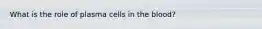 What is the role of plasma cells in the blood?