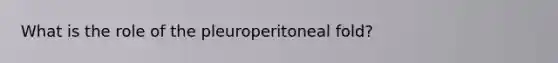 What is the role of the pleuroperitoneal fold?