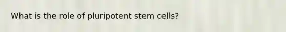 What is the role of pluripotent stem cells?