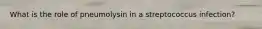 What is the role of pneumolysin in a streptococcus infection?