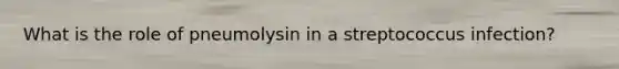 What is the role of pneumolysin in a streptococcus infection?