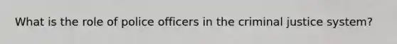 What is the role of police officers in the criminal justice system?