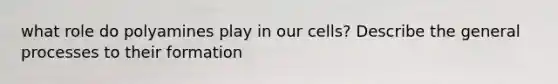what role do polyamines play in our cells? Describe the general processes to their formation