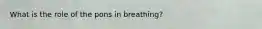 What is the role of the pons in breathing?