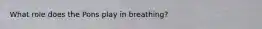 What role does the Pons play in breathing?