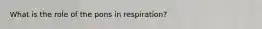 What is the role of the pons in respiration?