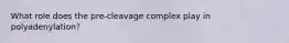 What role does the pre-cleavage complex play in polyadenylation?