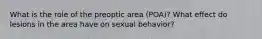 What is the role of the preoptic area (POA)? What effect do lesions in the area have on sexual behavior?