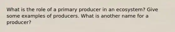 What is the role of a primary producer in an ecosystem? Give some examples of producers. What is another name for a producer?