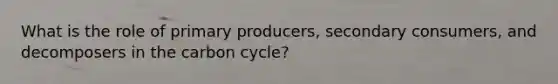 What is the role of primary producers, secondary consumers, and decomposers in the carbon cycle?