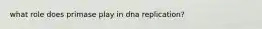 what role does primase play in dna replication?