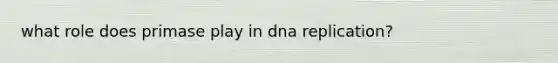 what role does primase play in dna replication?