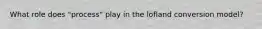 What role does "process" play in the lofland conversion model?
