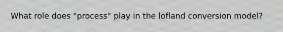 What role does "process" play in the lofland conversion model?