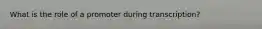 What is the role of a promoter during transcription?