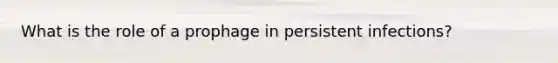 What is the role of a prophage in persistent infections?